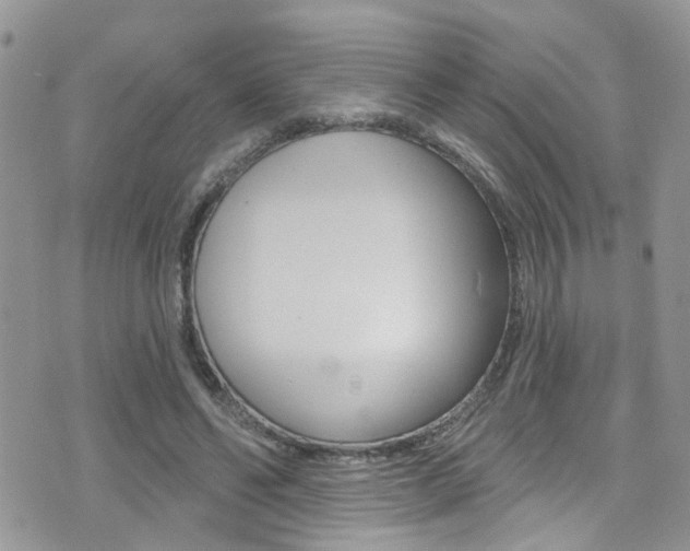 X0000076060494200609220938