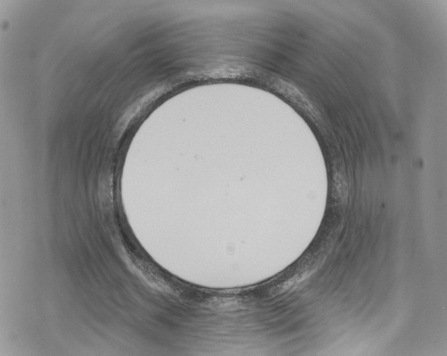 X0000076060534200609220937