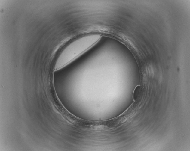 X0000076060539200609220937