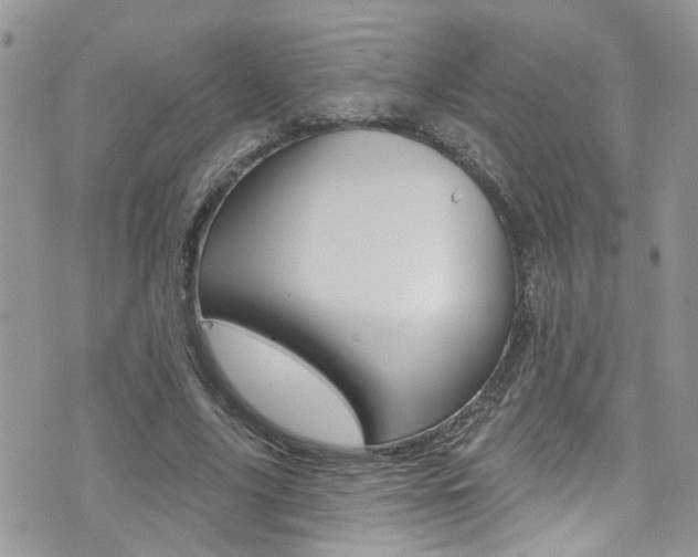 X0000076060635200609220935