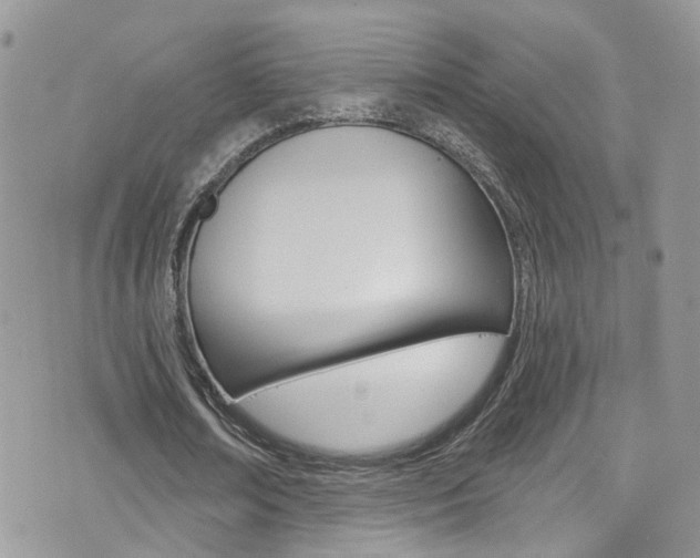 X0000076060674200609220935