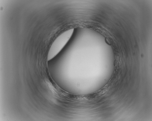 X0000076060702200609220935