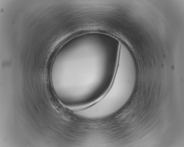 X0000076060724200609220934