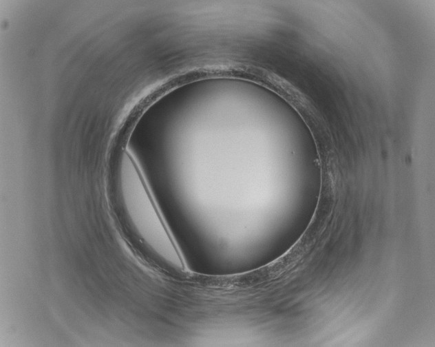 X0000076060728200609220934
