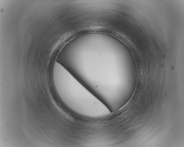 X0000076060734200609220934