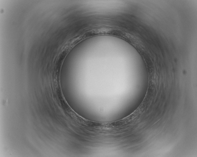 X0000076060743200609220934