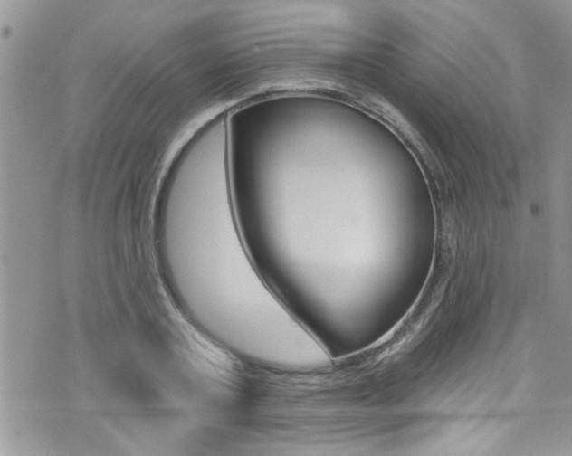 X0000076060787200609220933