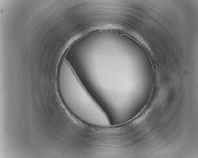 X0000076060845200609220933