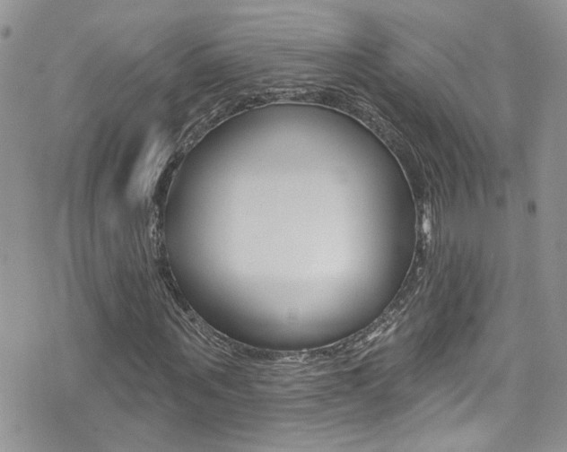 X0000076060867200609220932