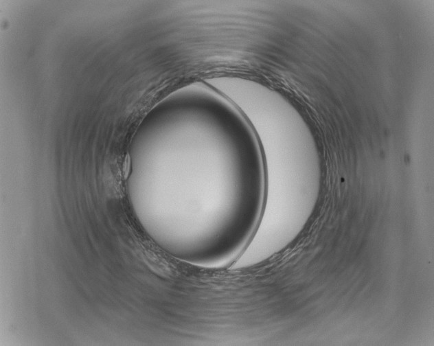 X0000076060868200609220932