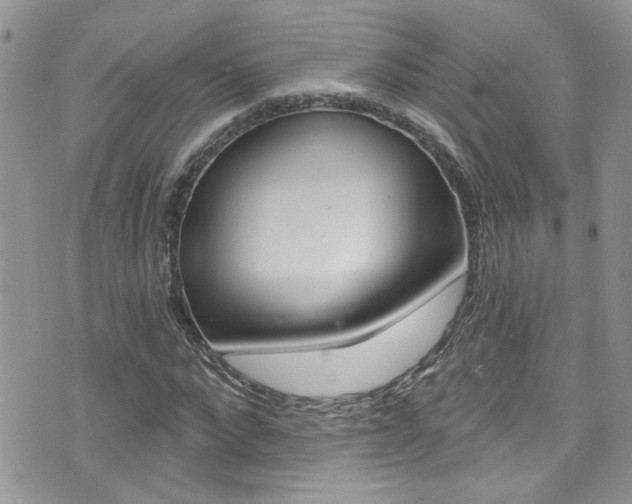 X0000076060872200609220932