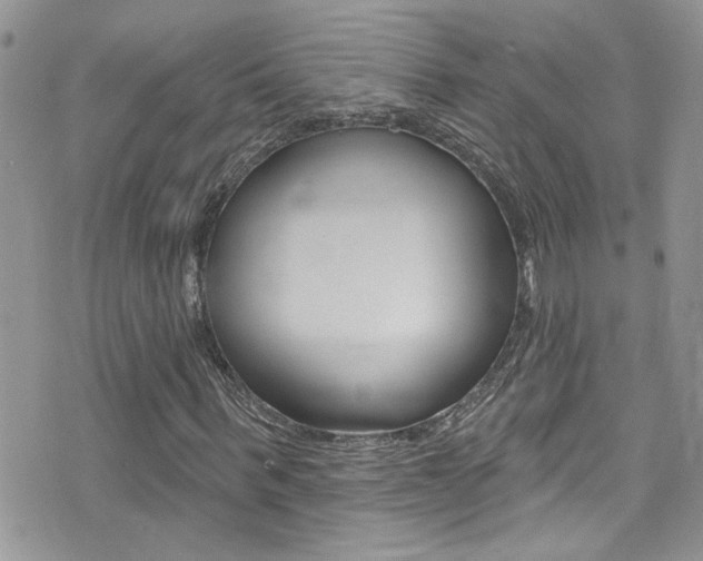 X0000076060963200609220931