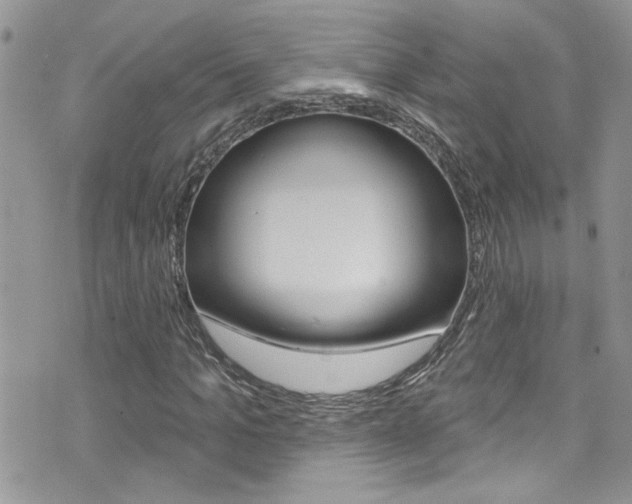 X0000076060965200609220931