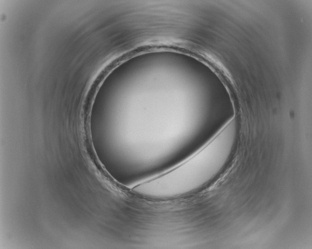 X0000076060976200609220930