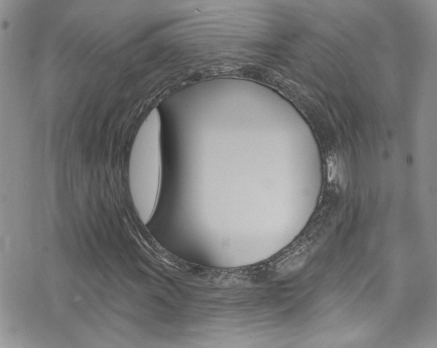 X0000076061011200609220929