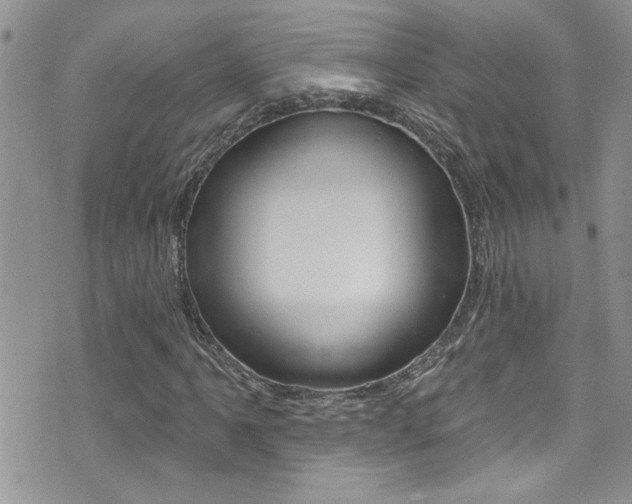 X0000076061061200609220929
