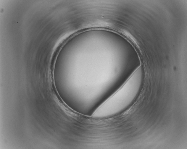 X0000076061072200609220929