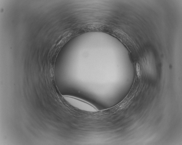 X0000076061107200609220928