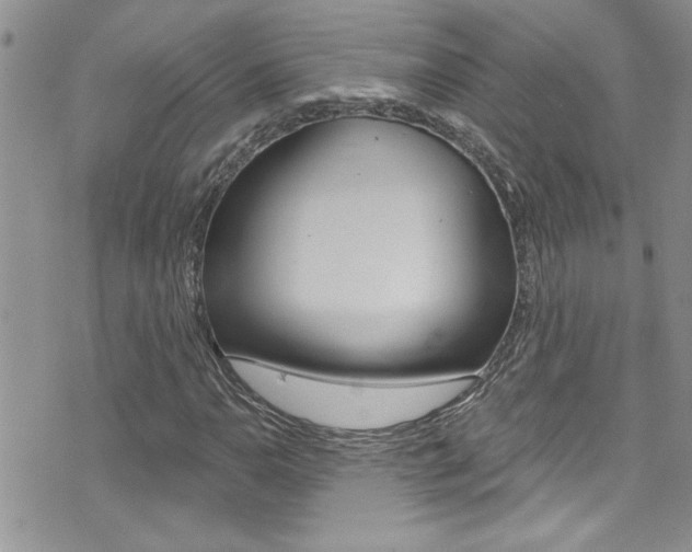 X0000076061110200609220928
