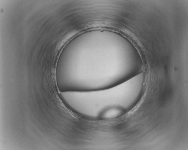 X0000076061121200609220928