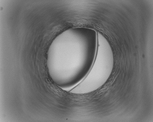 X0000076061153200609220927