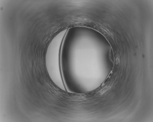 X0000076061156200609220927