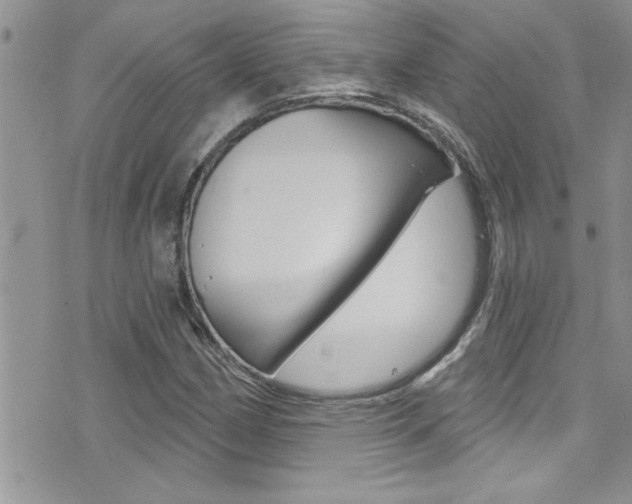 X0000076061162200609220927