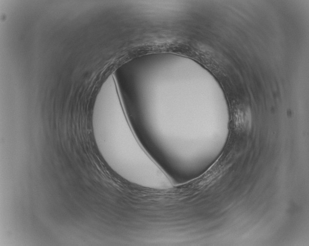 X0000076061204200609220926