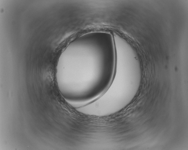 X0000076061206200609220926