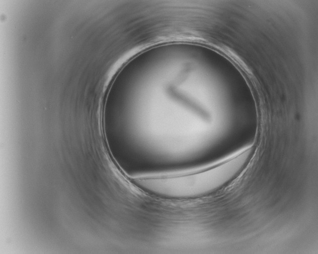X0000076061246200609220927