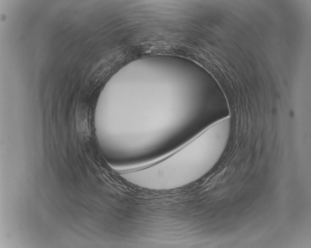 X0000076061250200609220926