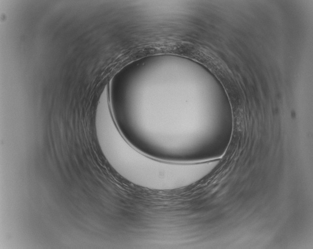 X0000076061298200609220924