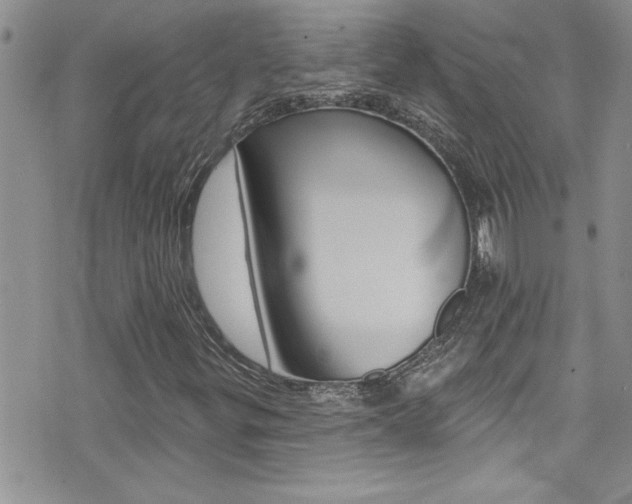 X0000076061299200609220924