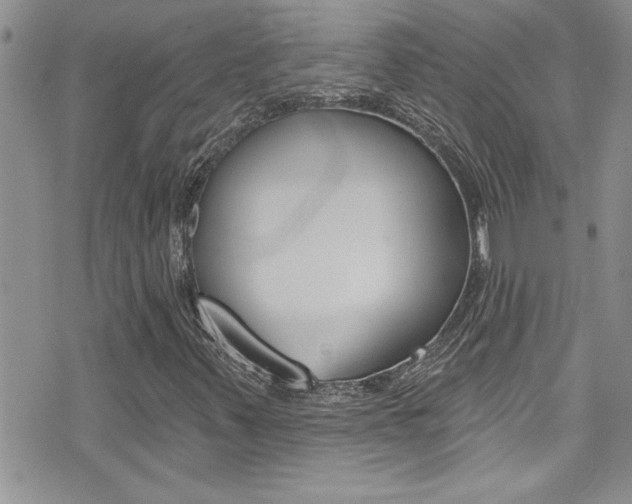 X0000076061347200609220924
