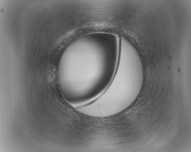 X0000076061349200609220924