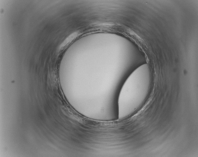 X0000076061354200609220924