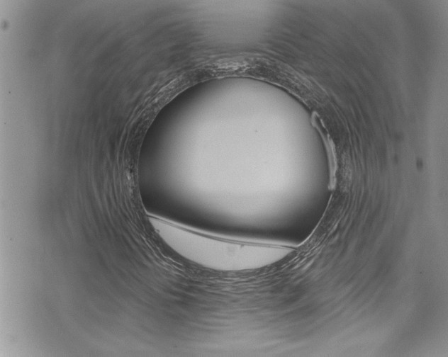 X0000076061394200609220923