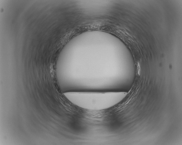 X0000076061395200609220923