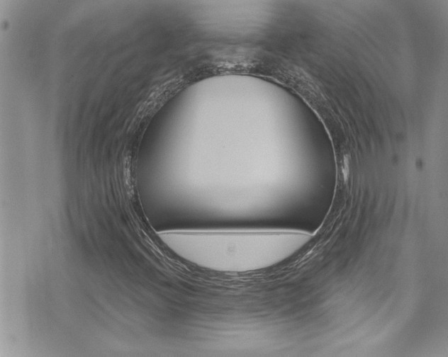X0000076061396200609220923