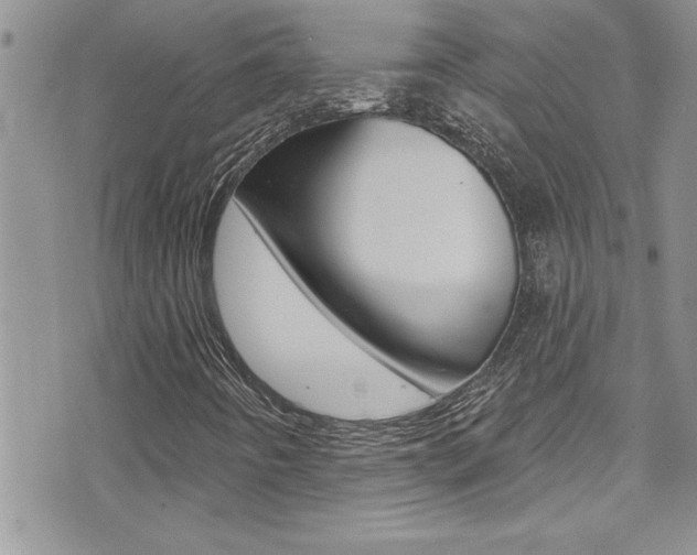 X0000076061442200609220923
