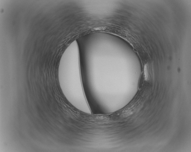 X0000076061443200609220923
