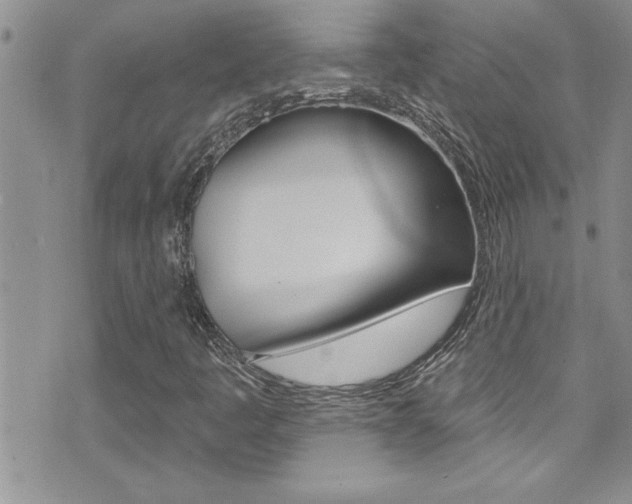 X0000076061445200609220923