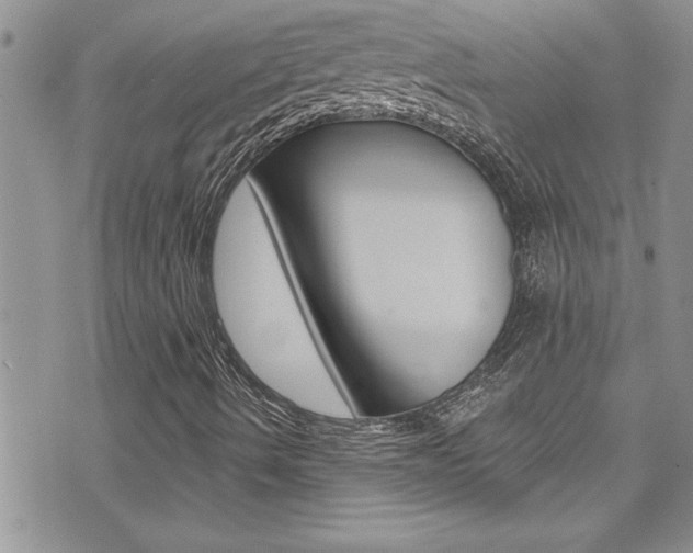 X0000076061490200609220921