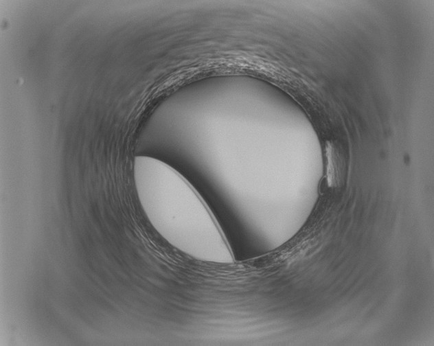 X0000076061491200609220921