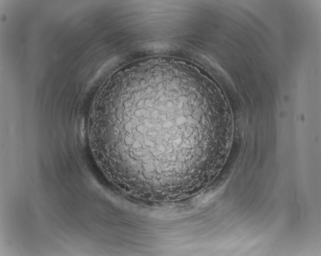X0000076060024200609221135