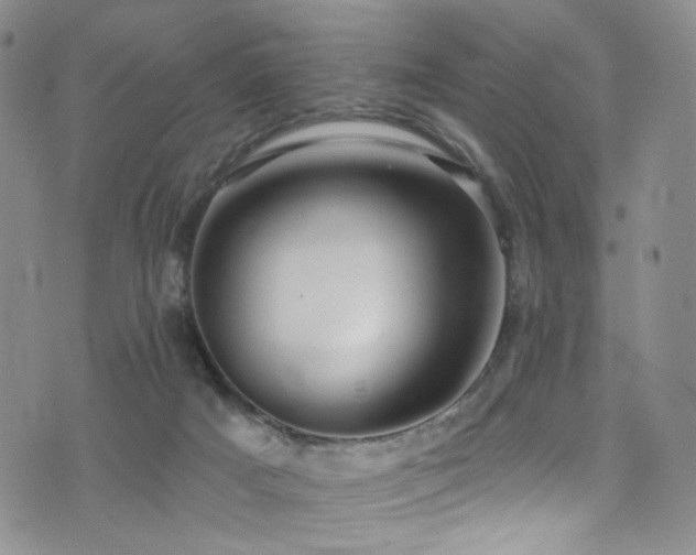 X0000076060025200609221135
