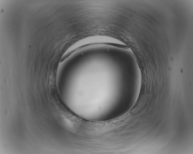 X0000076060037200609221135
