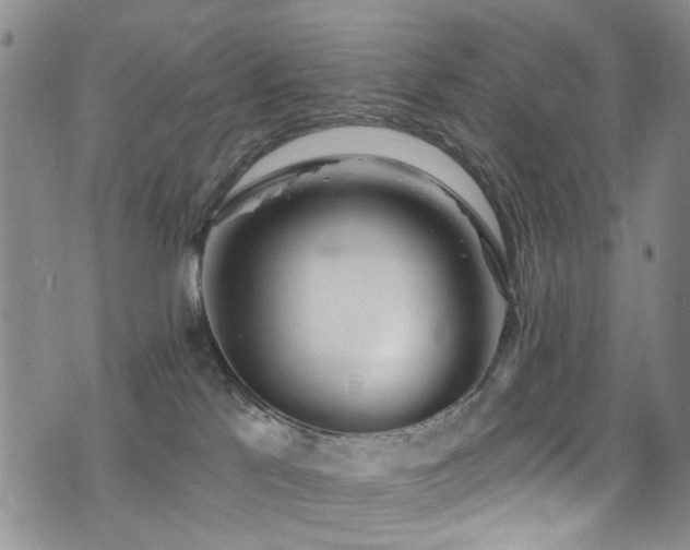 X0000076060041200609221135