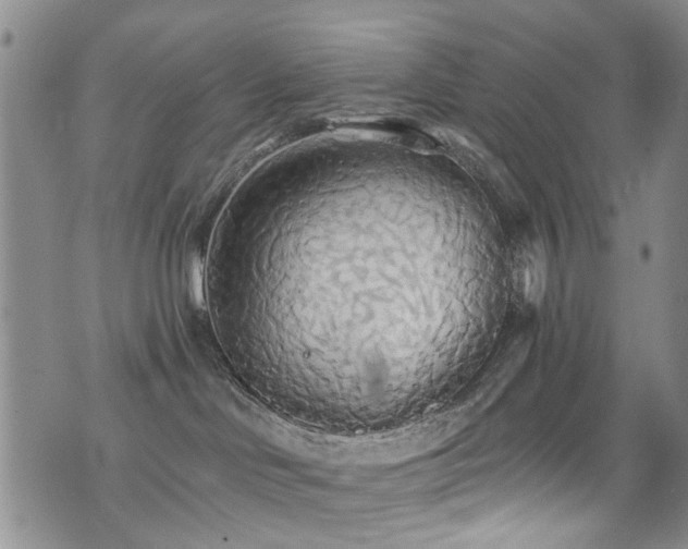 X0000076060046200609221134