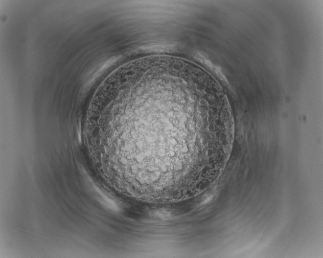 X0000076060062200609221134
